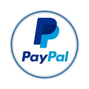 Digital Marketing Services in Durban 33 paypal round